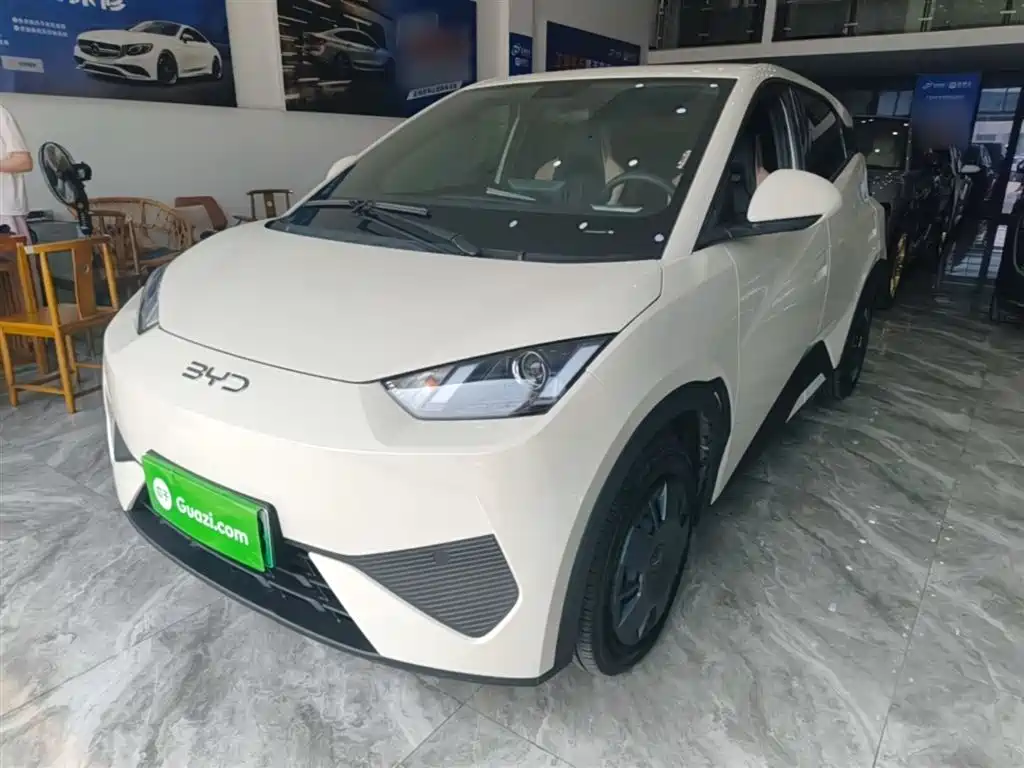 BYD Seagull 2025 Smart Drive Edition 305km Vitality Version