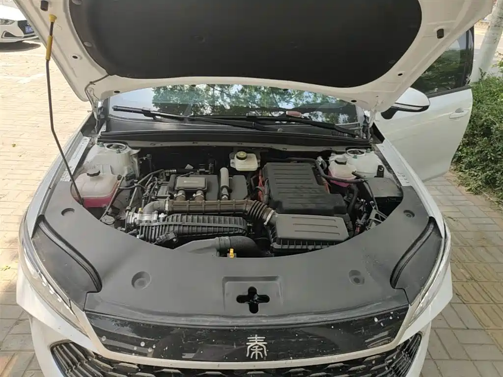 BYD Qin PLUS 2025 DM-i Smart Drive 55KM Leader фото 20