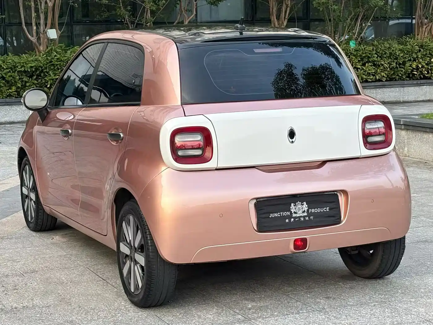 Ora Black Cat 2021 2021 351km Luxury Model