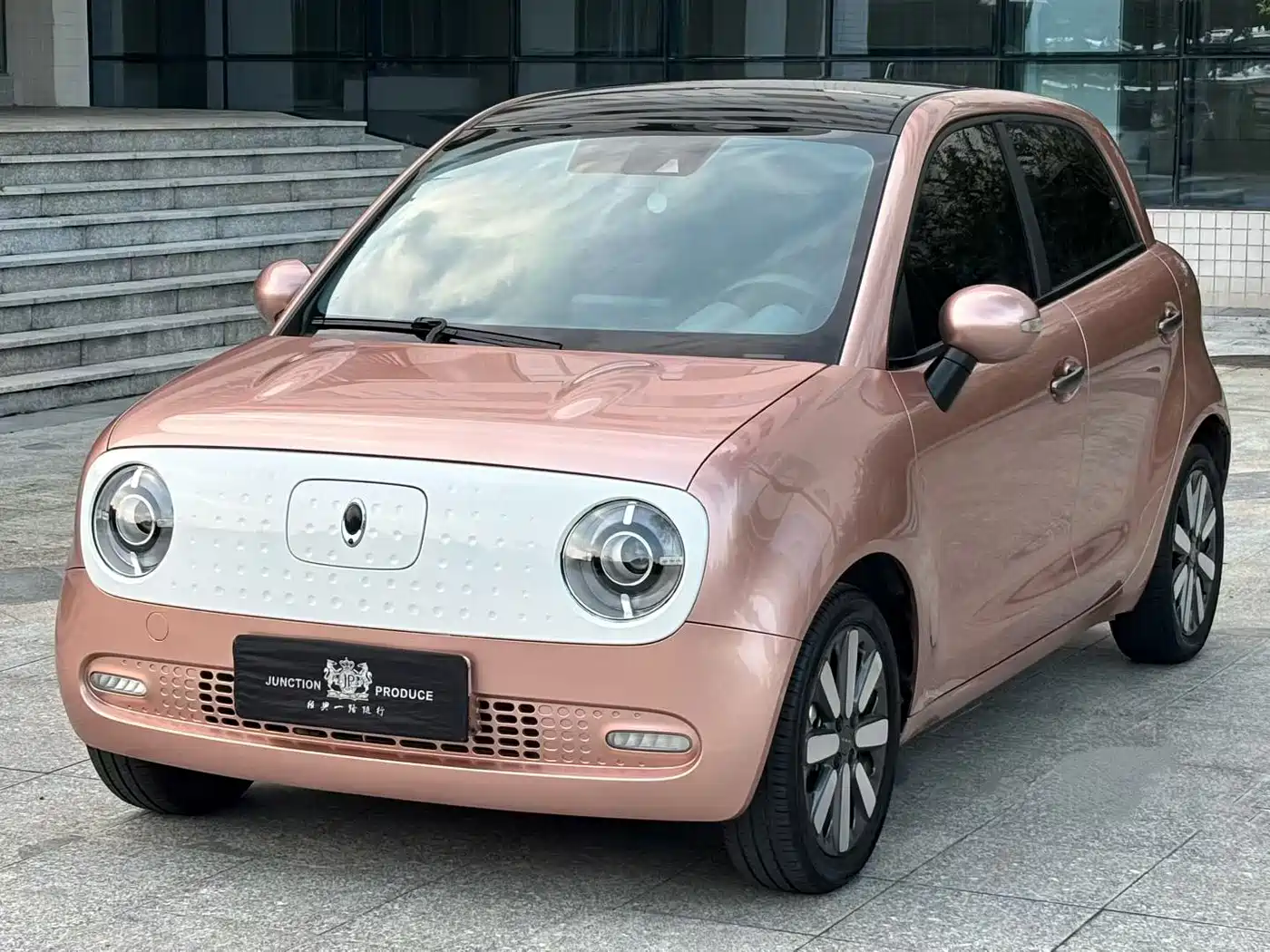 Ora Black Cat 2021 2021 351km Luxury Model