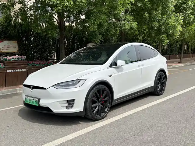 TESLA MODEL X 2019