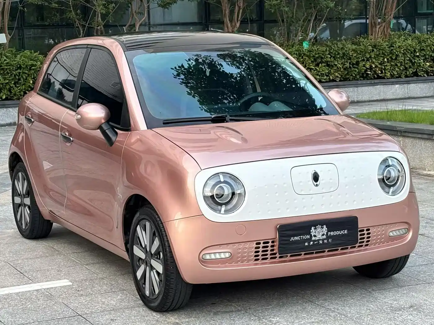 Ora Black Cat 2021 2021 351km Luxury Model