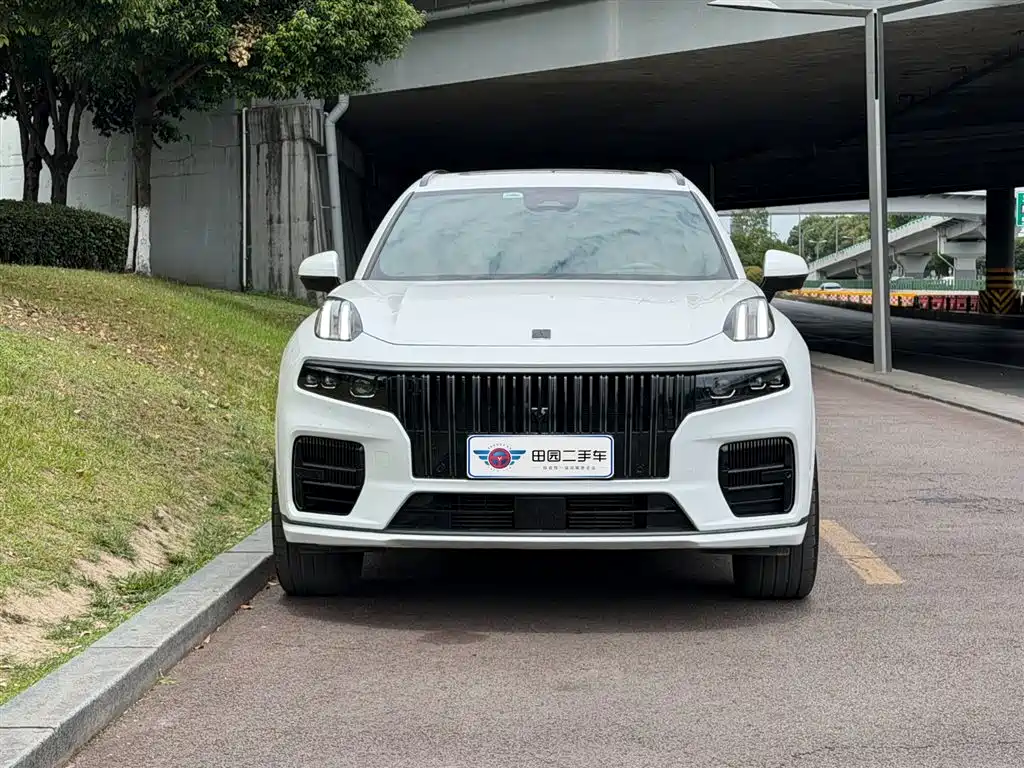 Lynk & Co 09 EM-P 2021 2.0T PHEV Pro 6-Seater фото 2