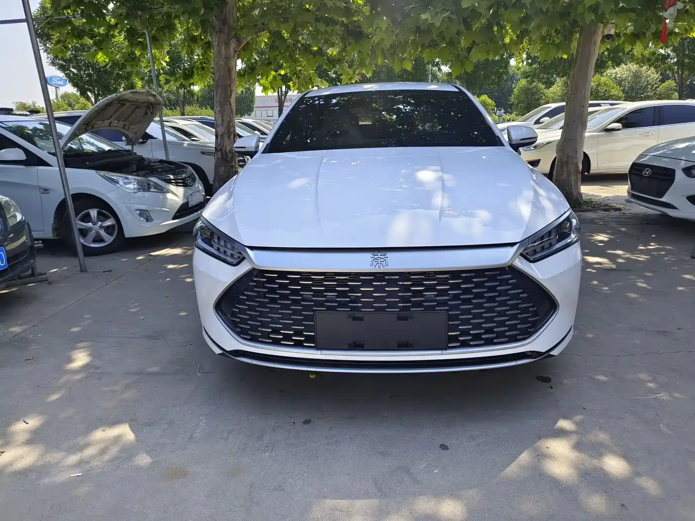 BYD Qin PLUS 2024 Glory Edition DM-i 55KM Leading фото 2