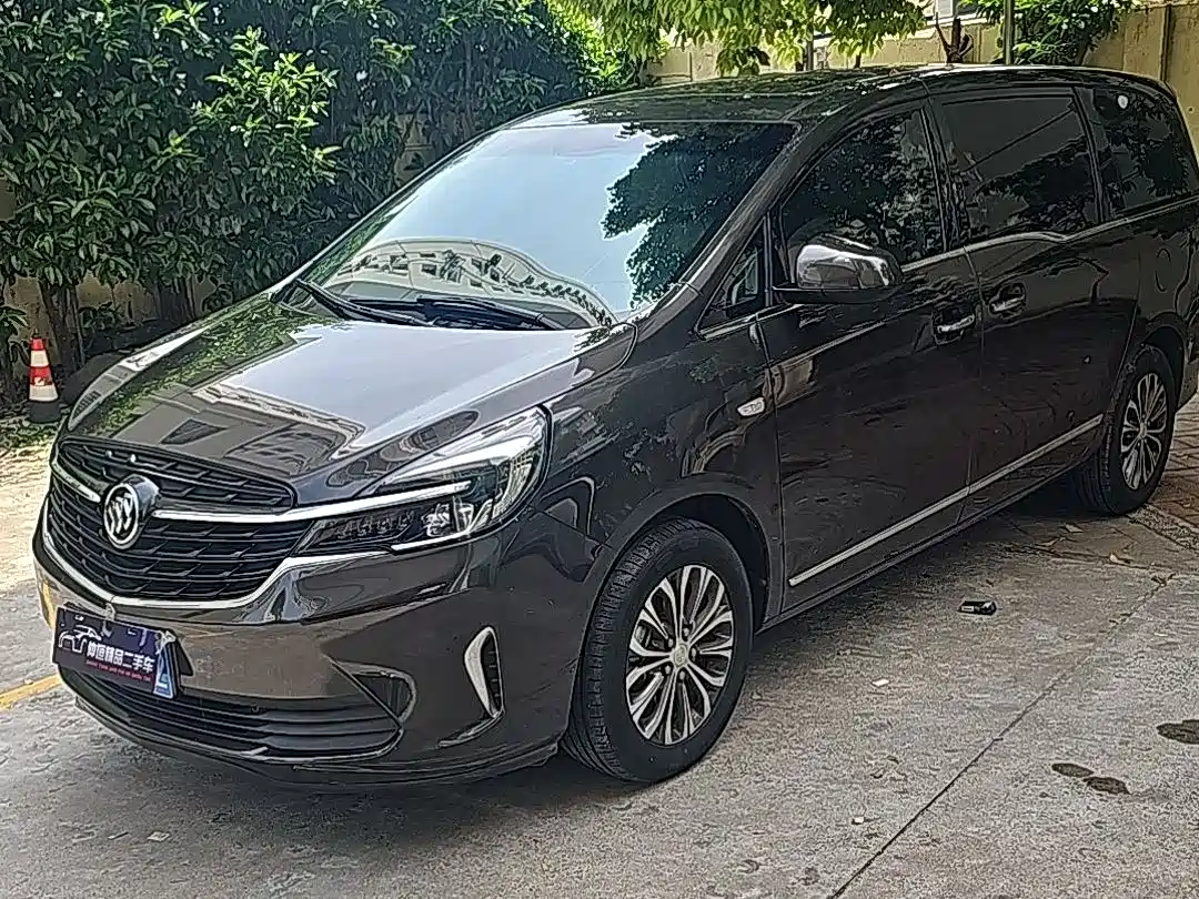 Buick GL8 2021 Land Business Class 652T Luxury
