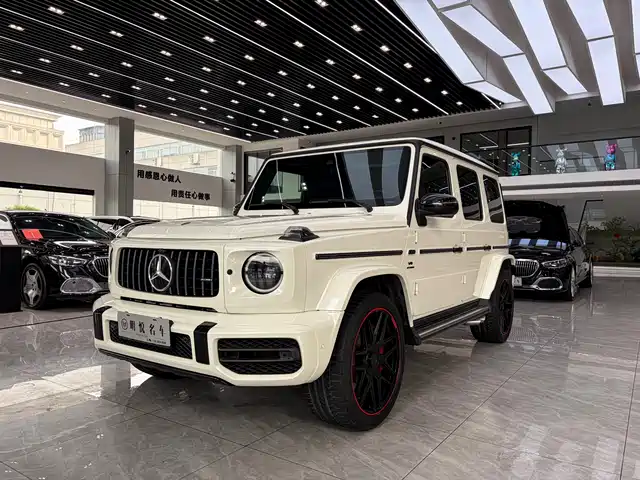 MERCEDES-BENZ G CLASS