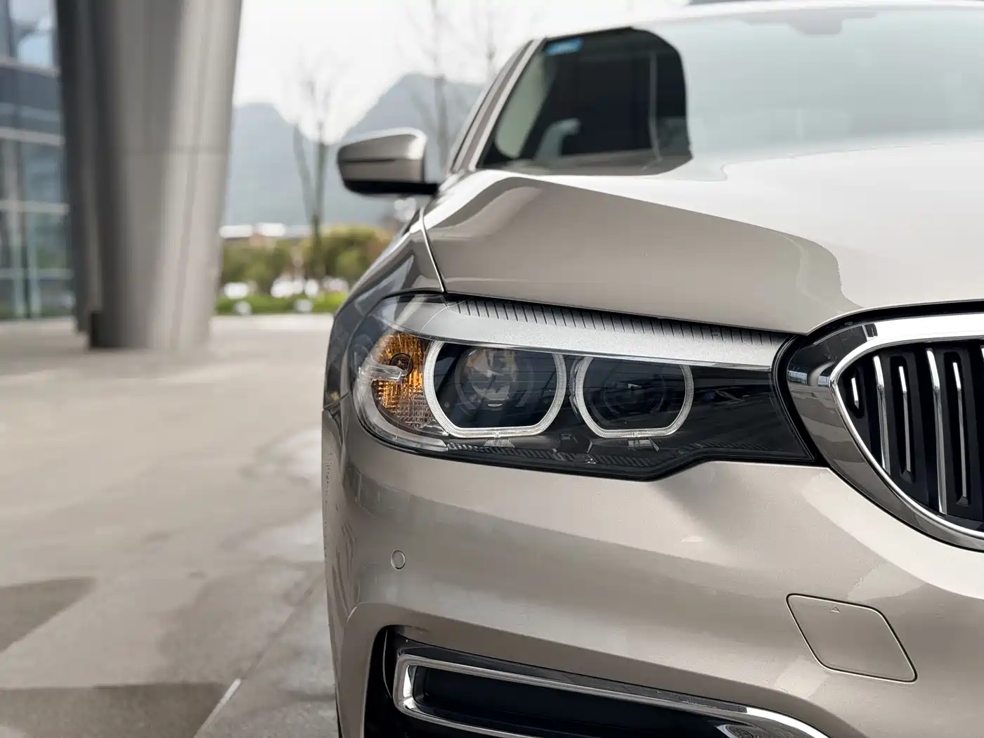 BMW 5 Series 2020 525Li Luxury Package фото 9