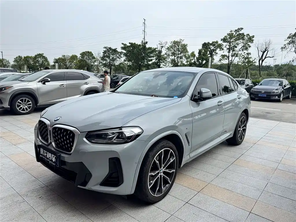BMW X4 2022 xDrive 30i M Sport Package