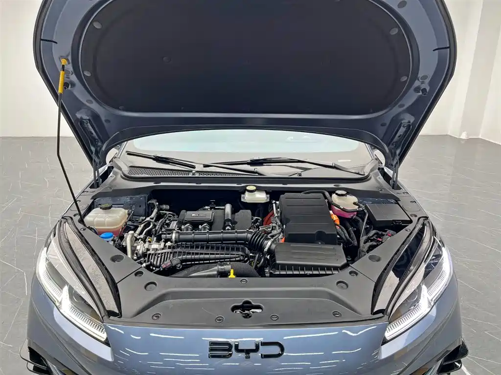 BYD Seal 06 New Energy 2024 DM-i 120KM Flagship фото 25