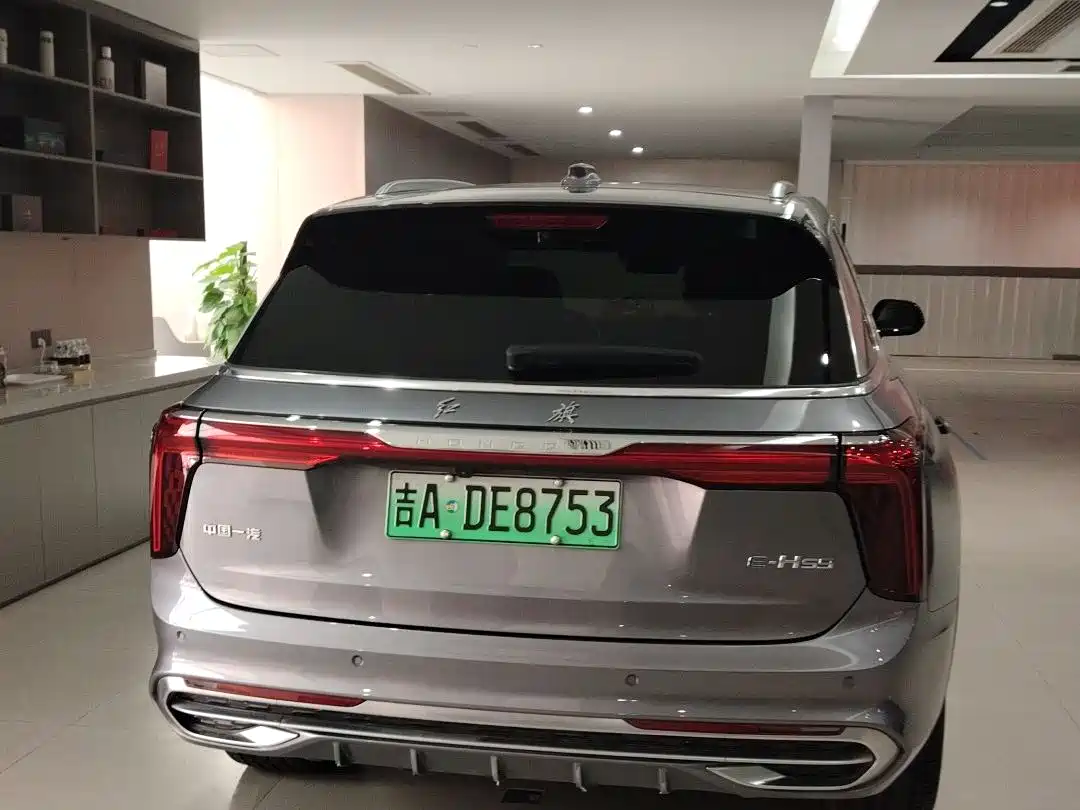 Hongqi E-HS9 2022 660km Qi Chang Edition (6-seater) фото 4