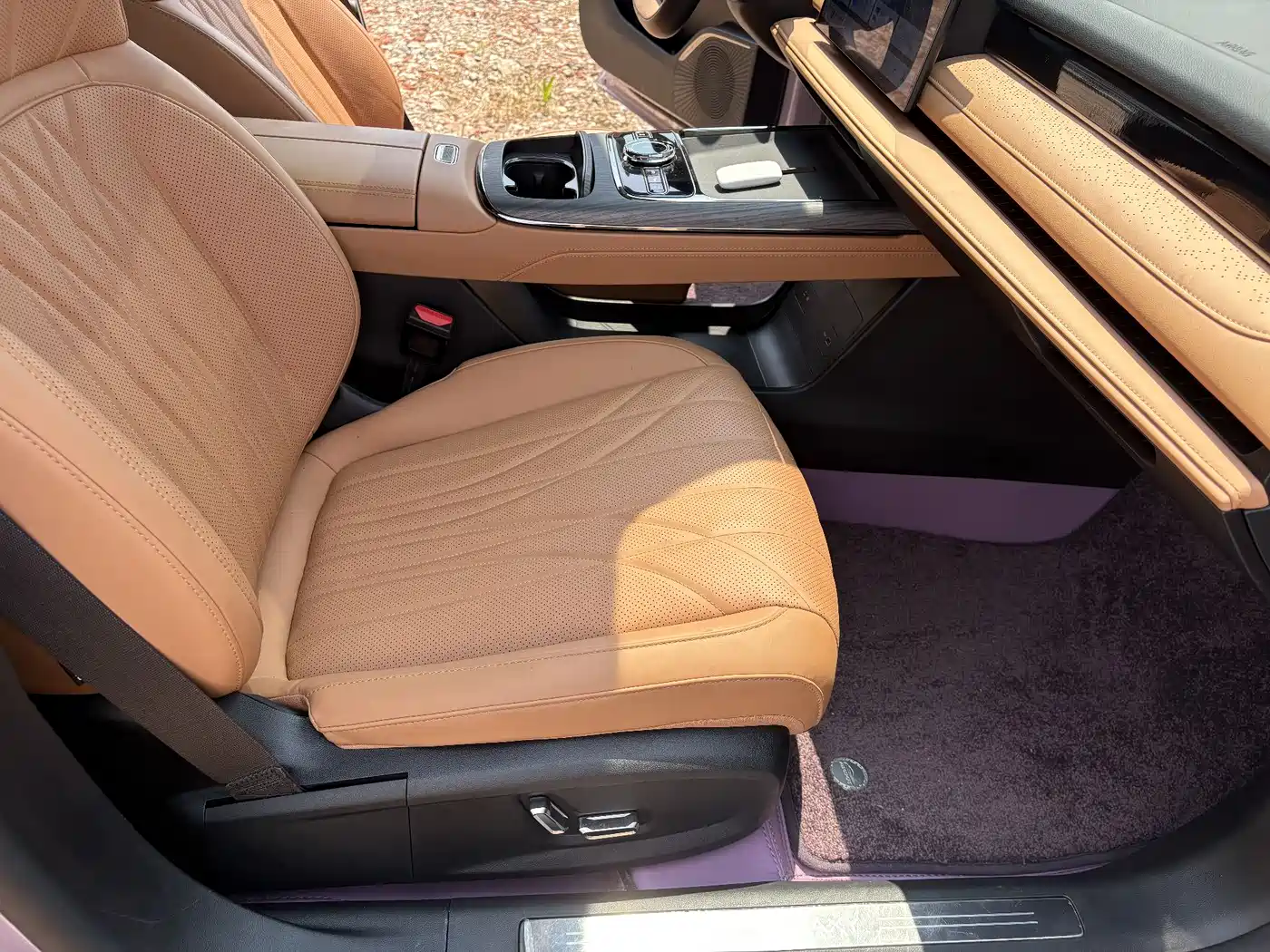 Geely Galaxy Galaxy Xingyao 8 2025 60km EM-i Luxury Edition фото 9