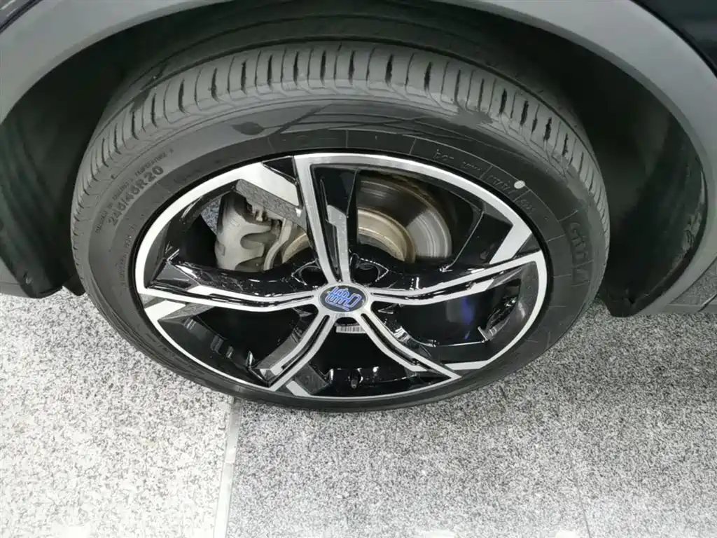 BYD Tang New Energy 2021 DM-i 112KM Honor фото 23