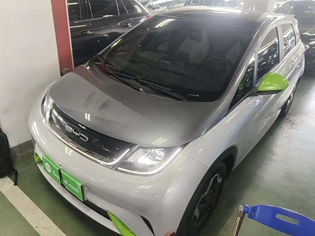 BYD Dolphin 2021 Model 405km Fashion Edition фото 2