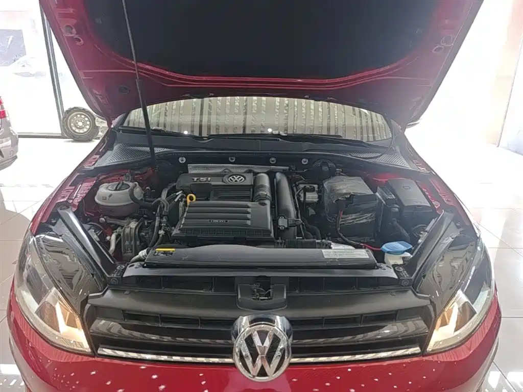 Volkswagen Golf 2017 230TSI Auto Comfort Millionth Anniversary Edition фото 20