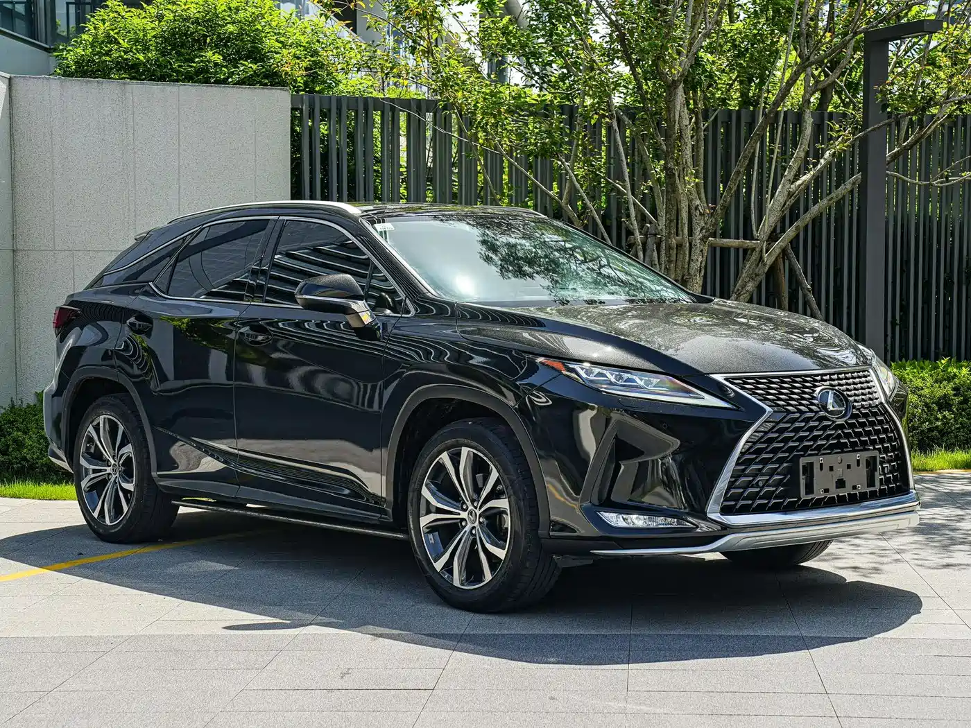 Lexus RX 2020 300 4WD Elegance Edition China VI фото 3