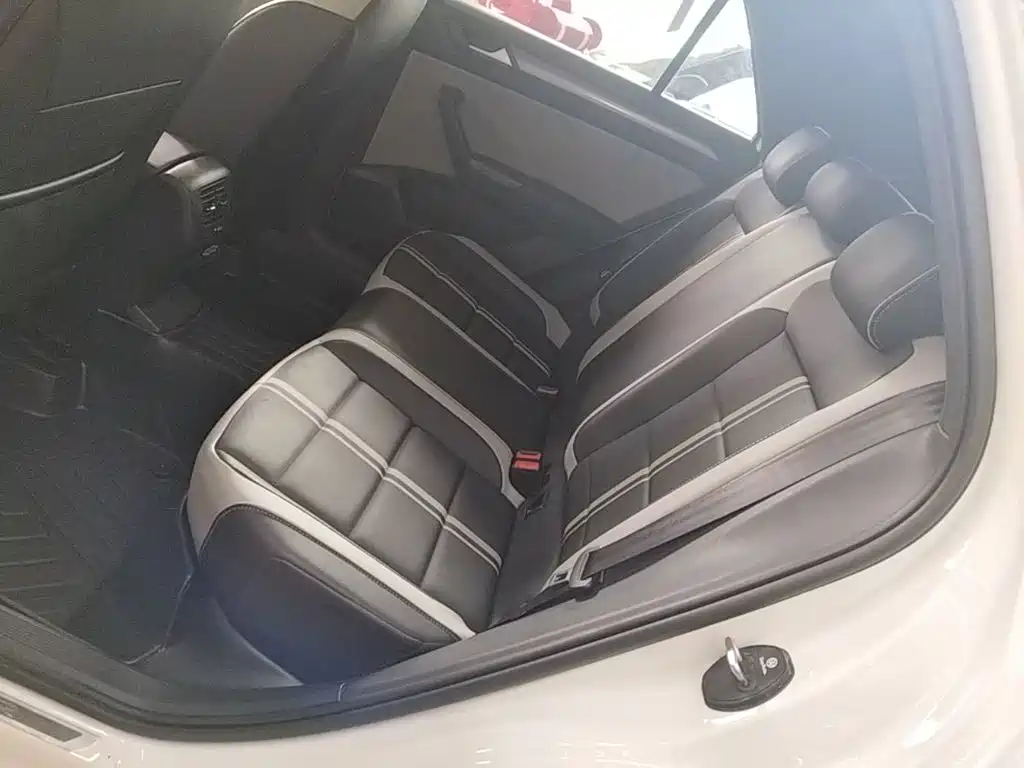 Volkswagen T-ROC 2024 2023 300TSI DSG 2WD Dawn Edition