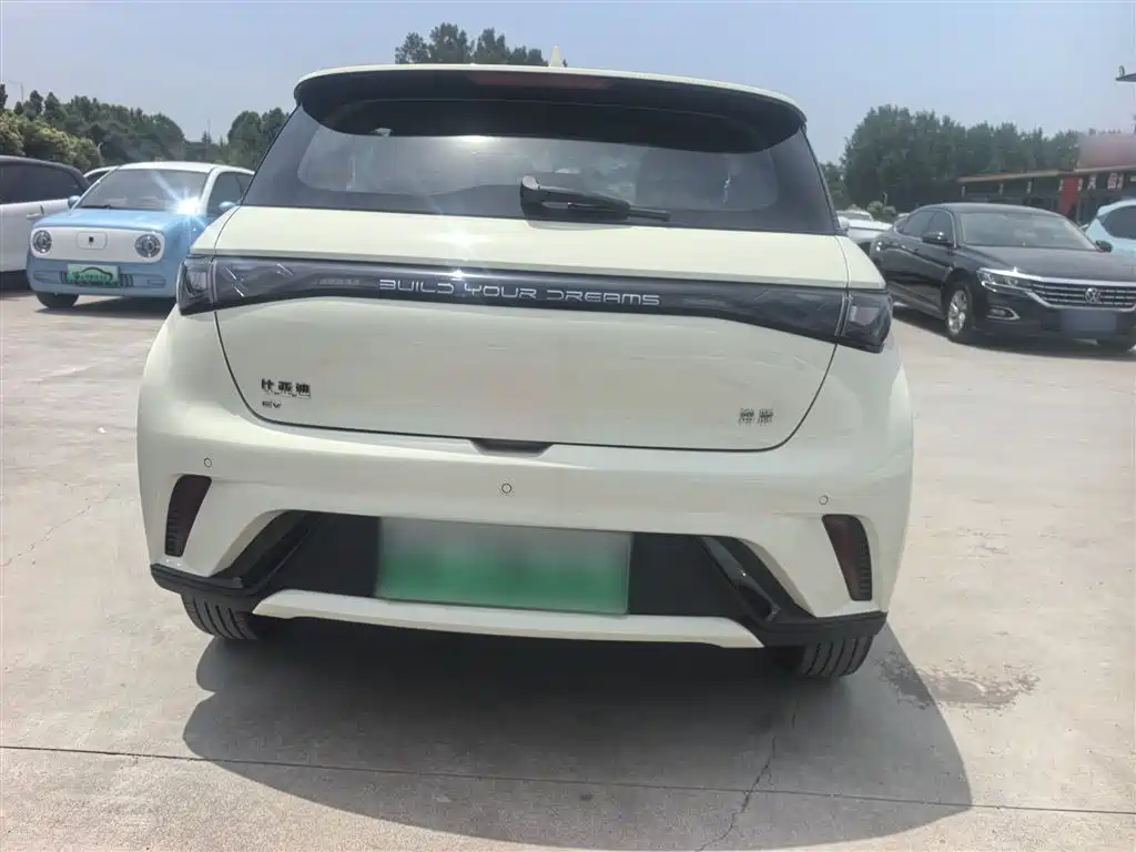 BYD Dolphin 2025 420km Freedom Edition фото 10