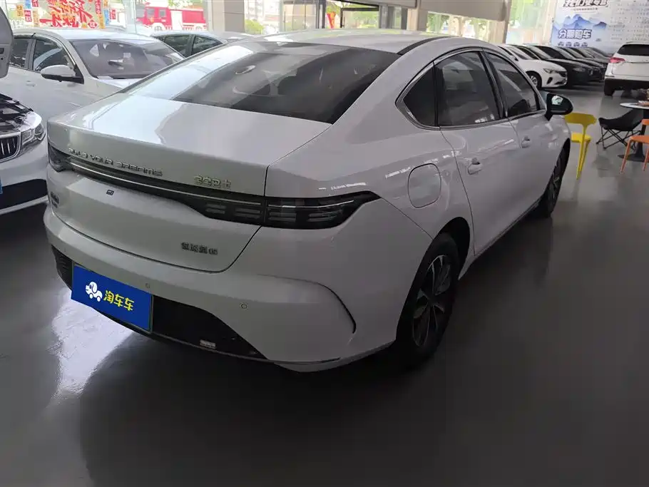 BYD Destroyer 05 2024 Glory Edition DM-i 55KM Luxury фото 3