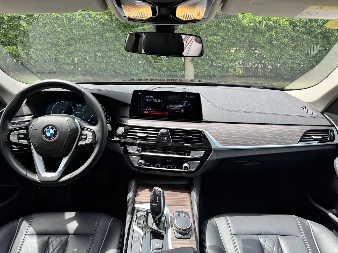 BMW 5 Series New Energy 2019 Facelift 530Le Luxury Package фото 14