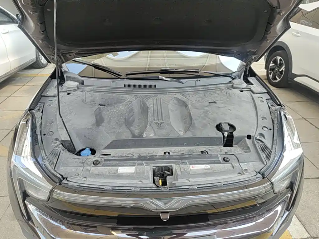 Nezha Auto Neta U 2021 2021 Pro 500 Global Edition