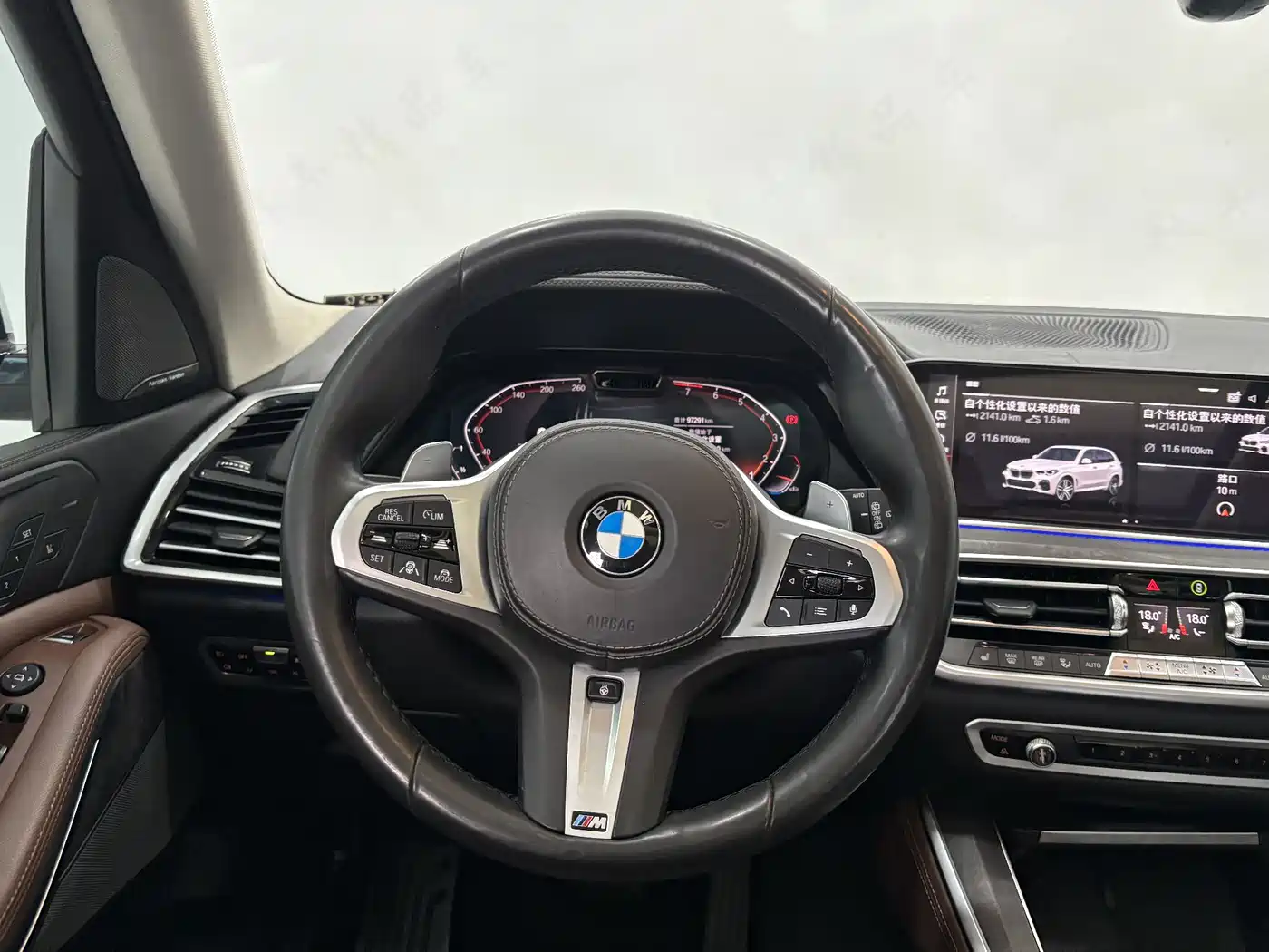 BMW X5 (Import) 2019 xDrive40i Exclusive M Sport Package фото 17