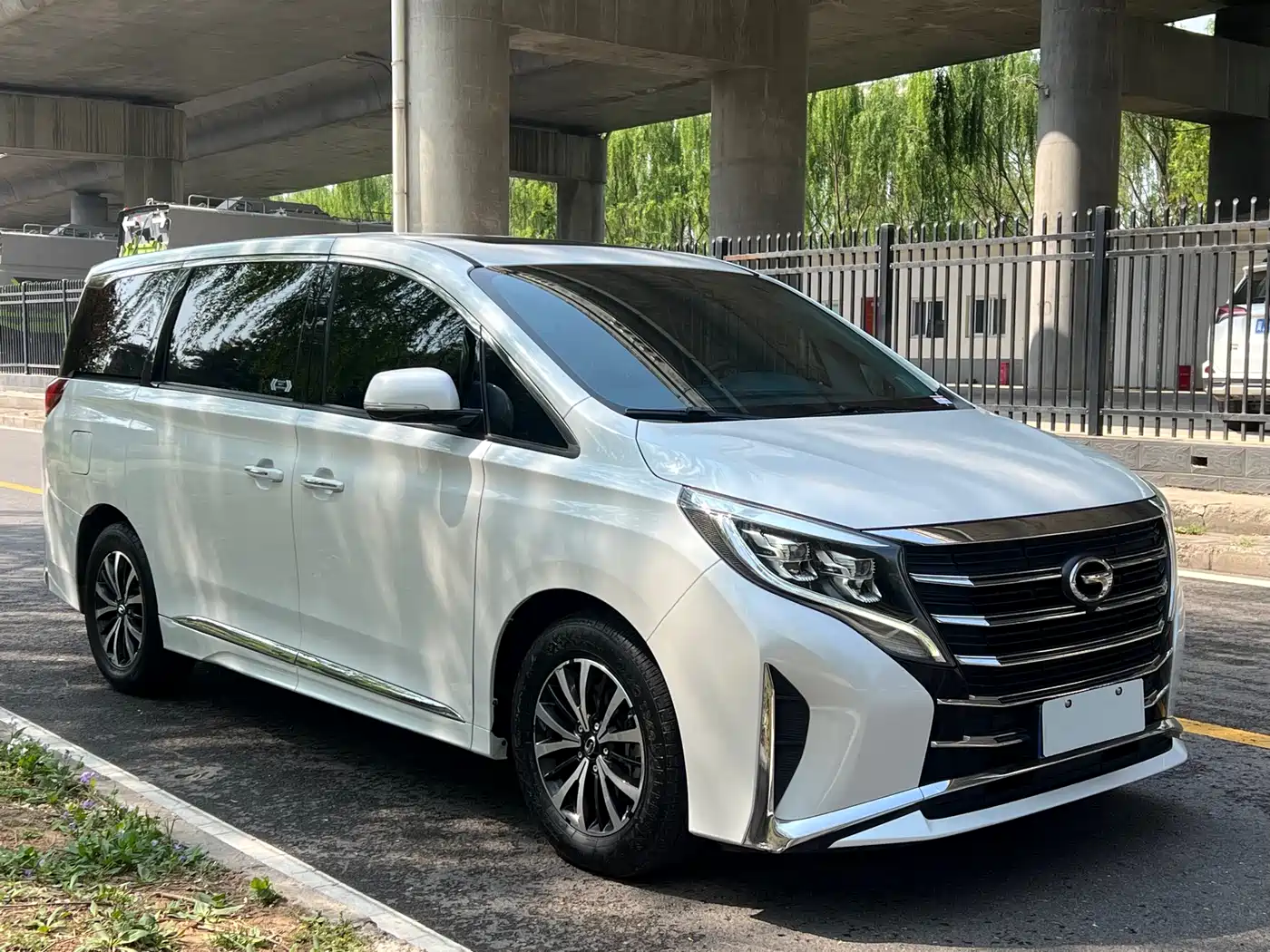 GAC Trumpchi Trumpchi M8 2021 Leading Show Series 390T Premium Edition фото 3