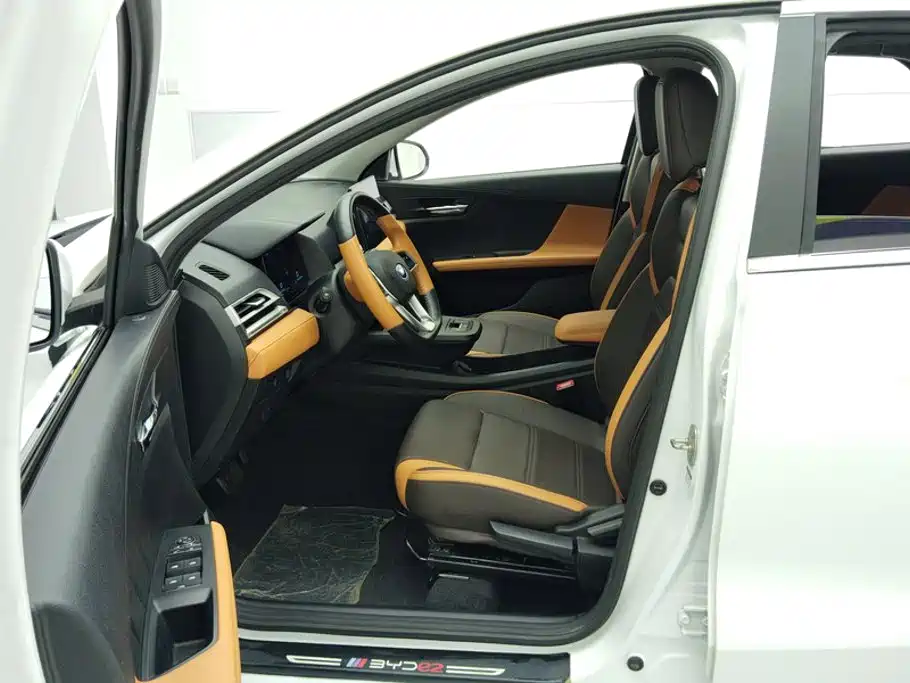 BYD e2 2022 2021 Luxury Edition