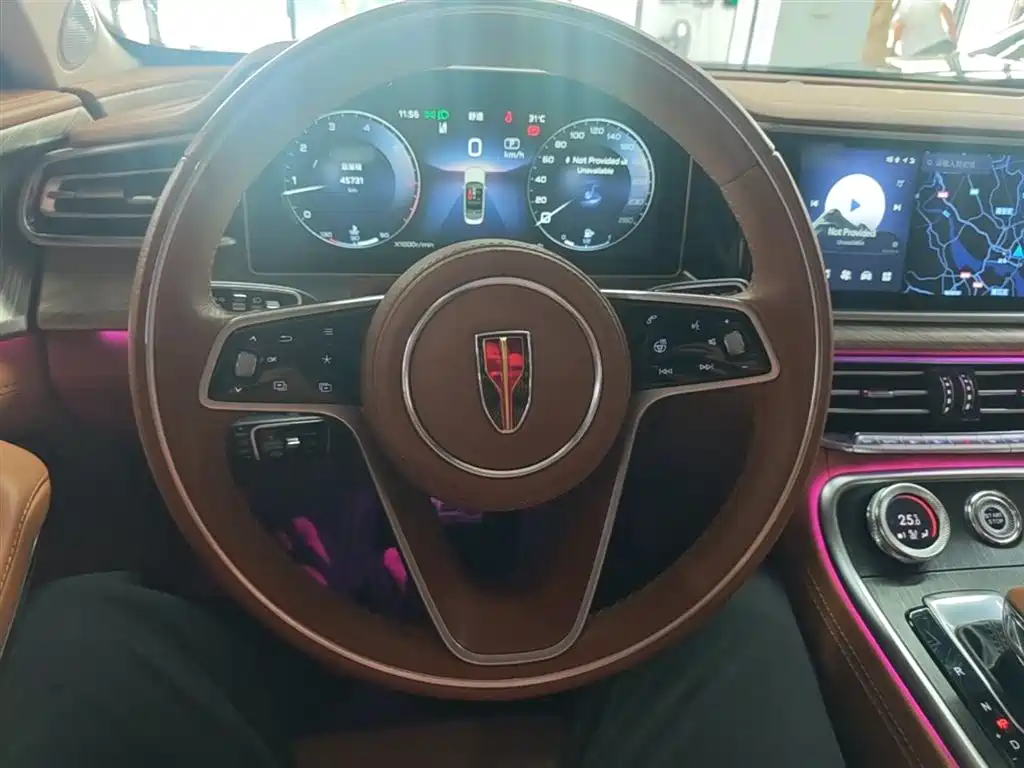 Hongqi H9 2020 3.0T Smart Connection Qi Chang Edition фото 11