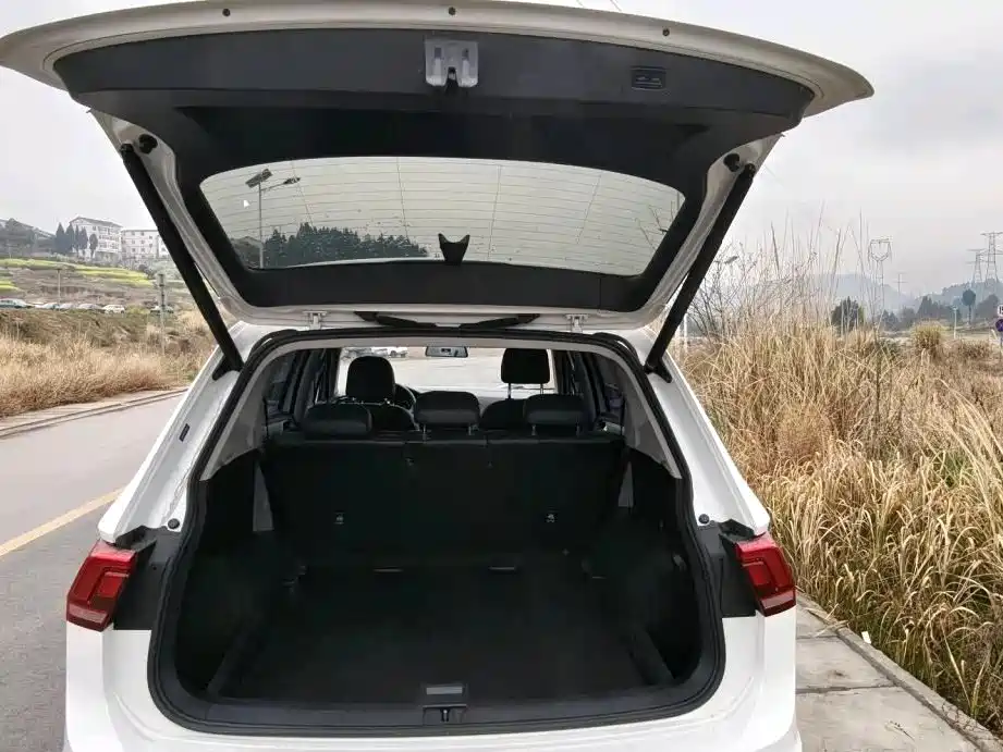 Volkswagen Tiguan L 2020 330TSI Auto 2WD Smart Luxury China VI фото 8