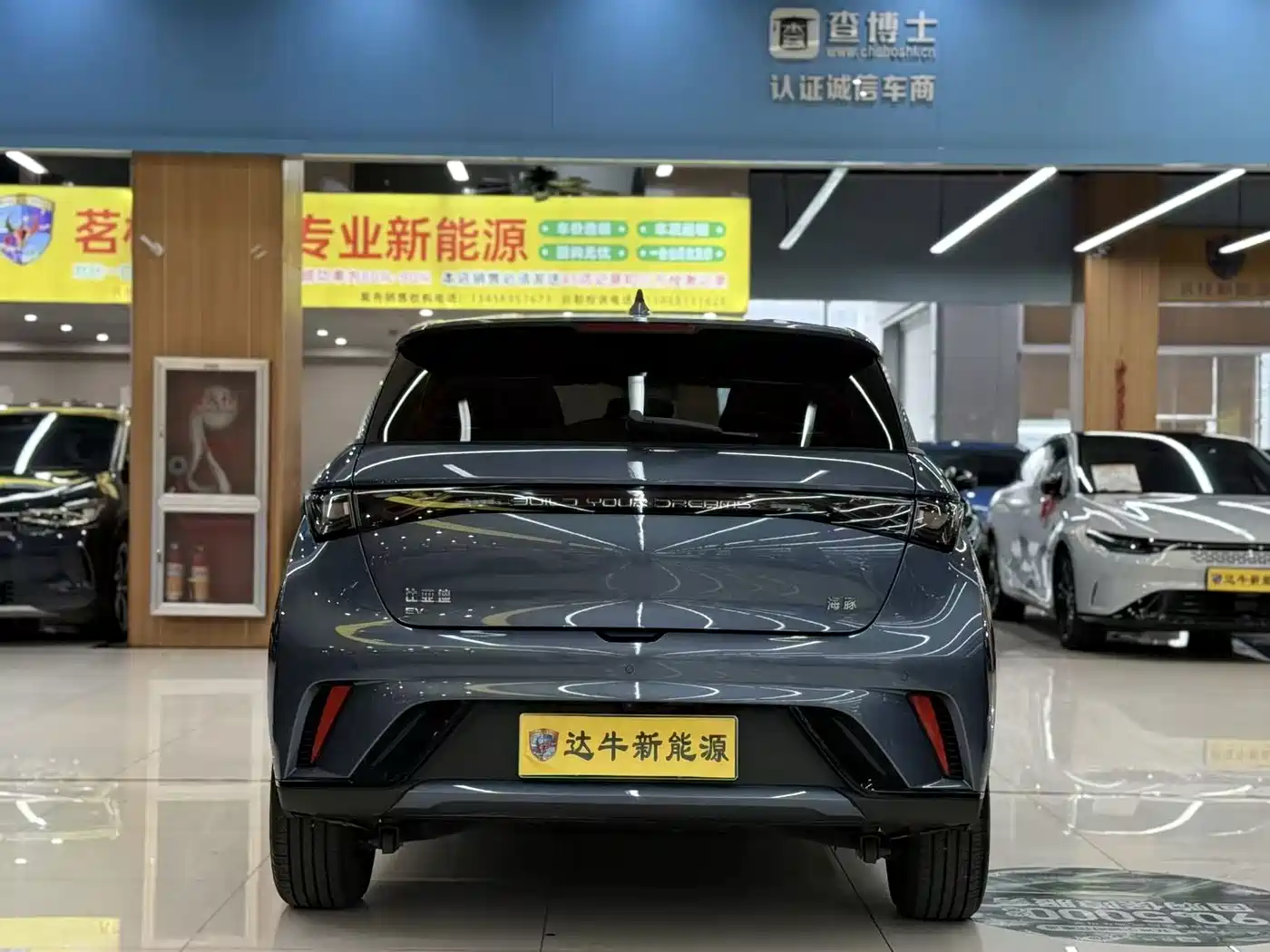 BYD Dolphin 2026 2025 420km Freedom Edition