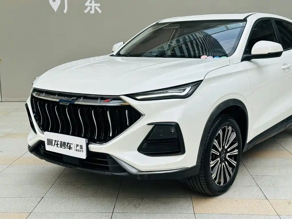 Фото 18 - Changan Oshan Changan Oushang X5