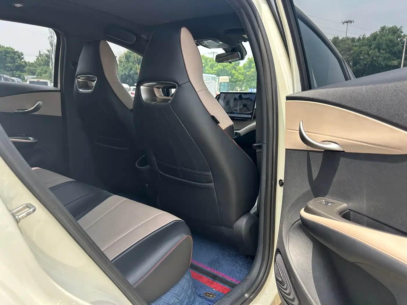 BYD Dolphin 2023 420km Fashion Edition фото 22