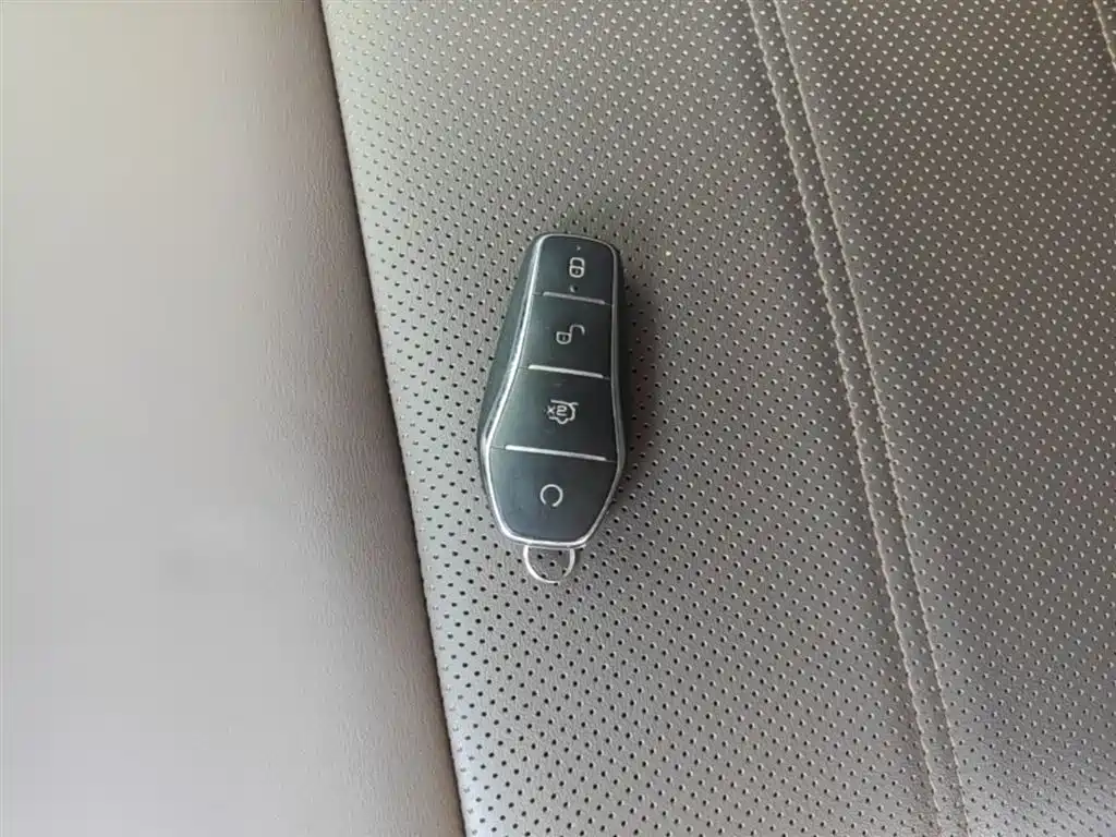 BYD e2 2021 Luxury Edition фото 9