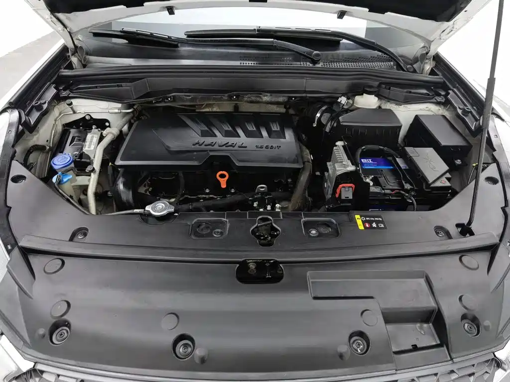 Haval H6 Coupe 2018 2018 Red Label 1.5T Auto 2WD Ultra Luxury