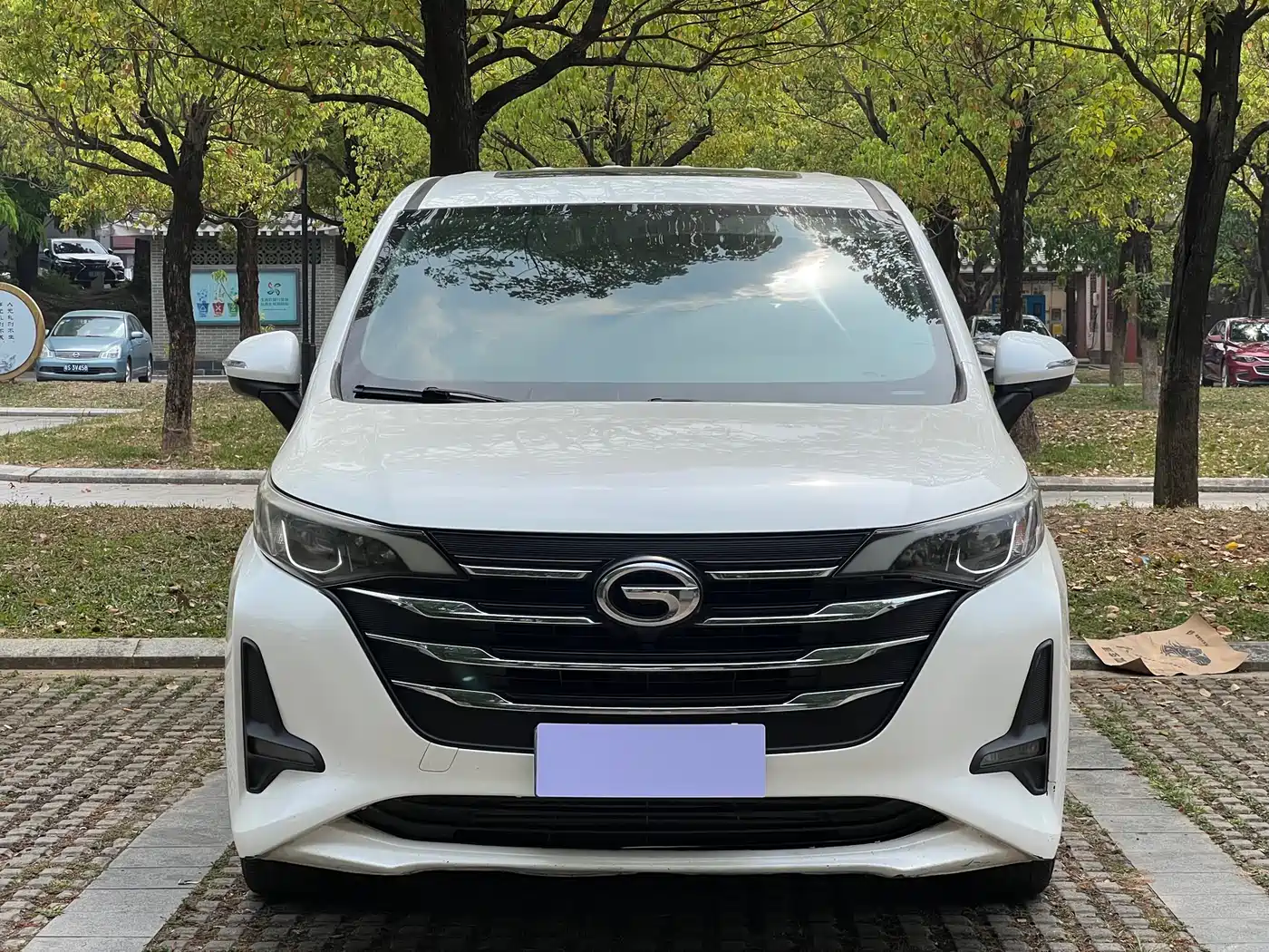 GAC Trumpchi Trumpchi M6 2019 270T Automatic Luxury (7-seater) China V фото 2