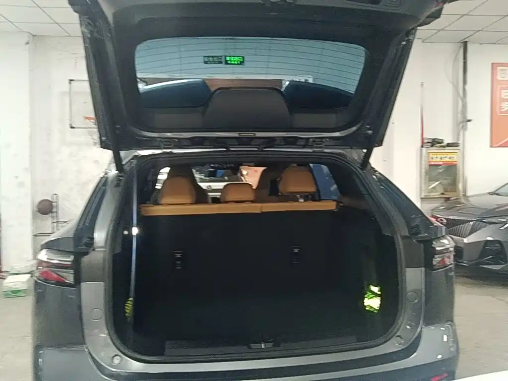 Roewe RX5 2023 2023 1.5T Luxury Sliding Screen Edition