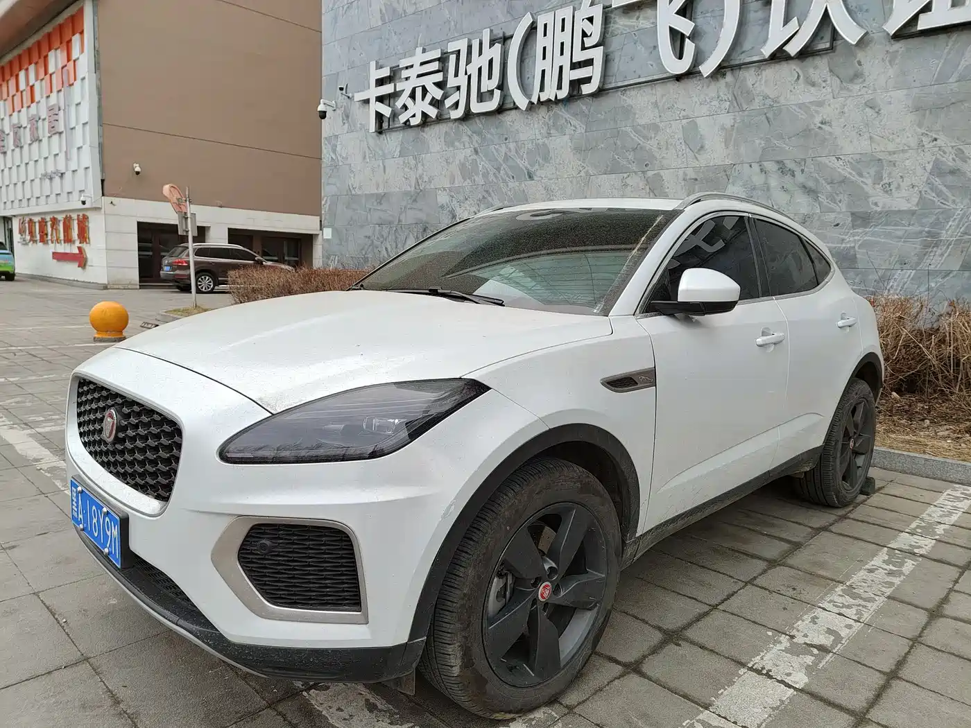 Jaguar E-PACE 2024 2024 Progressive Sport Edition R-DYNAMIC S
