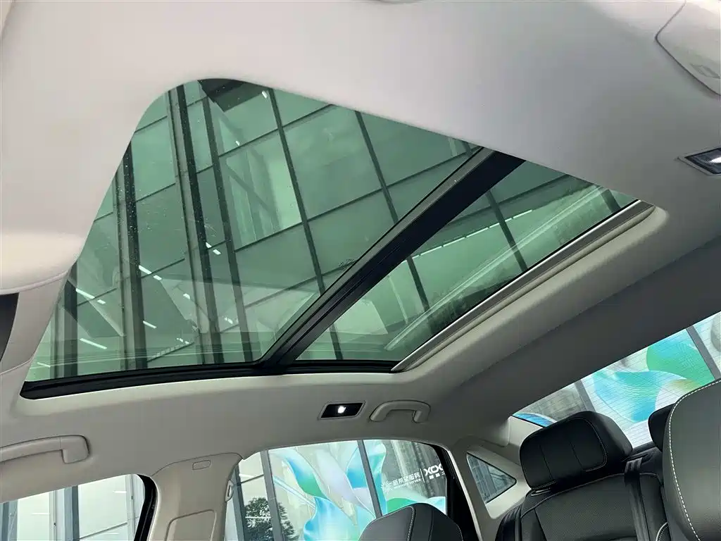 Volkswagen Passat 2024 380TSI Starlight Dragon Soaring Edition фото 24