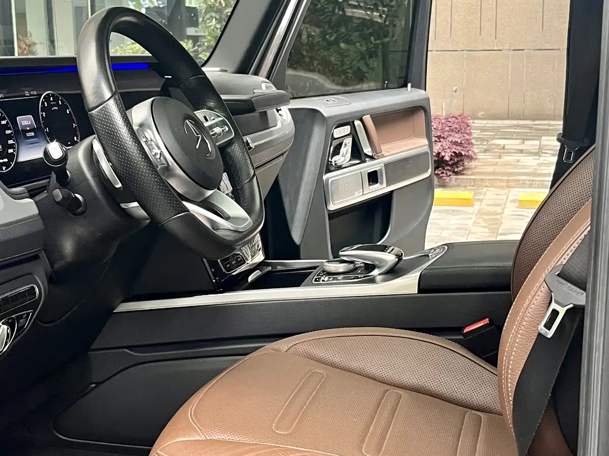 Mercedes-Benz G-Class 2020 G 350 фото 10