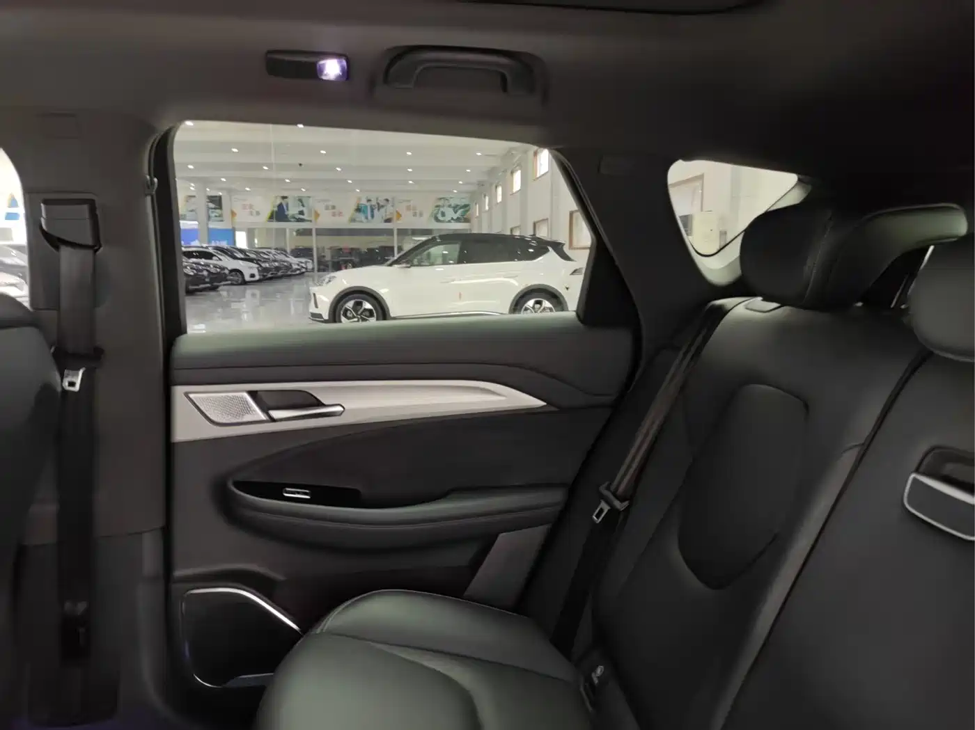 ARCFOX EXTREME FOX POLAR FOX ALPHA T