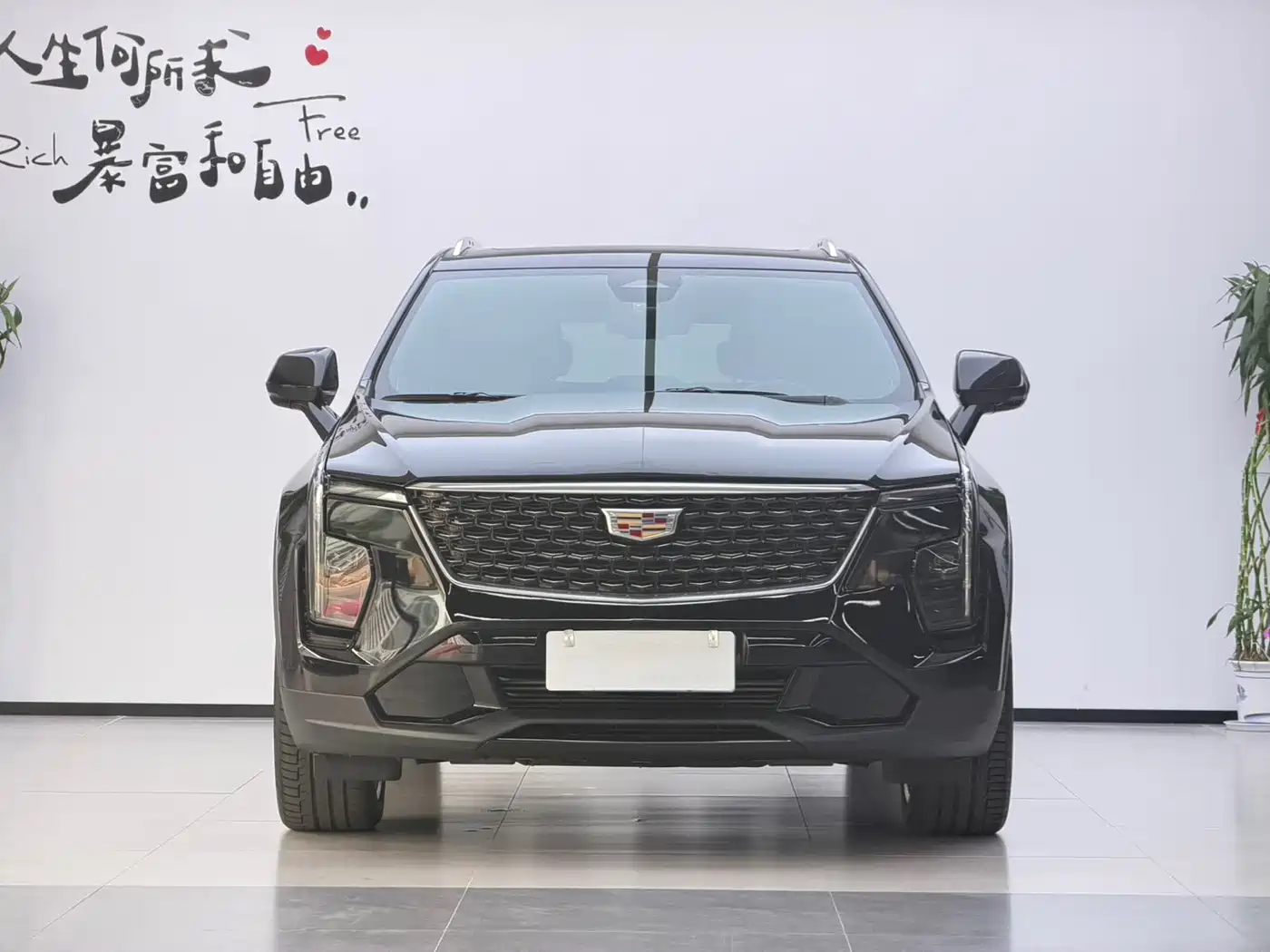 Cadillac XT4 2025 2024 28T 2WD Premium