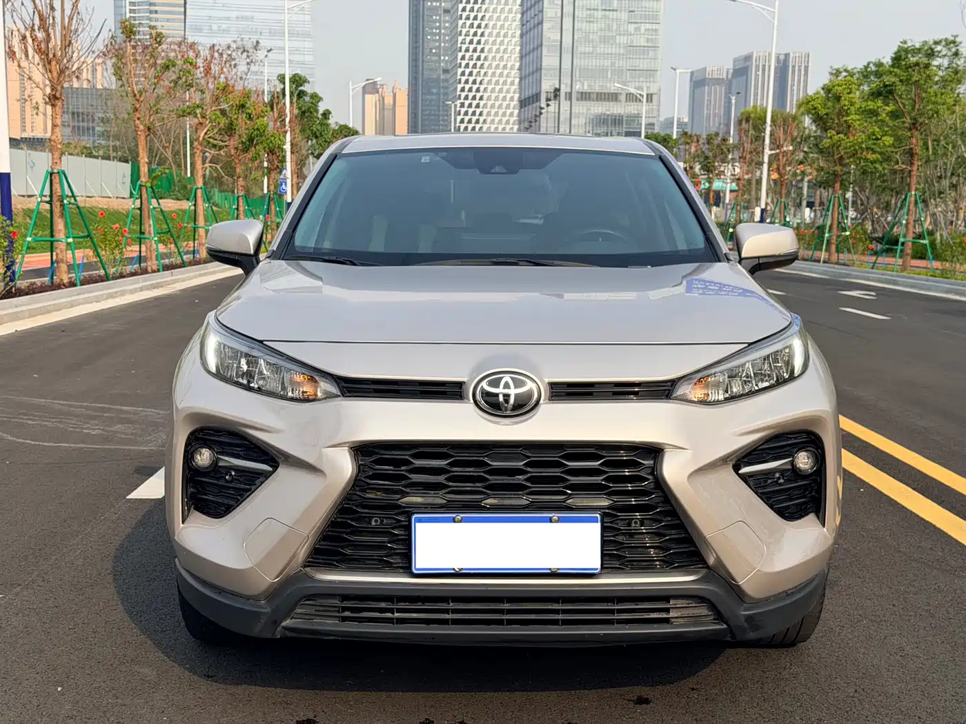 Toyota Wildlander 2022 2.0L CVT FWD Luxury Edition фото 2