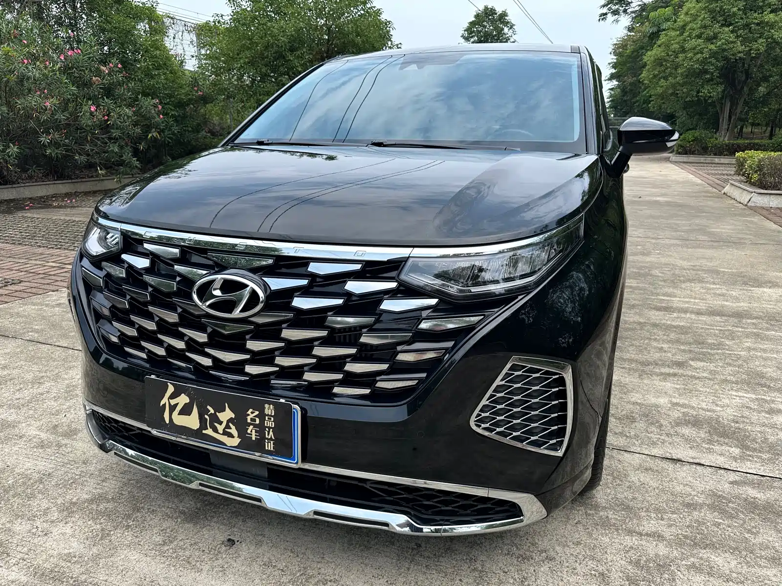 صورة 3 - Hyundai Custo