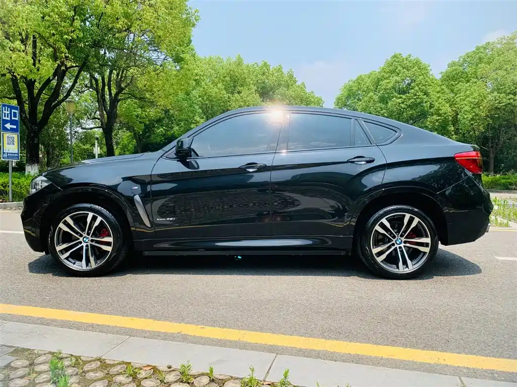 BMW X6 2018 xDrive35i M Sport Luxury Model фото 6