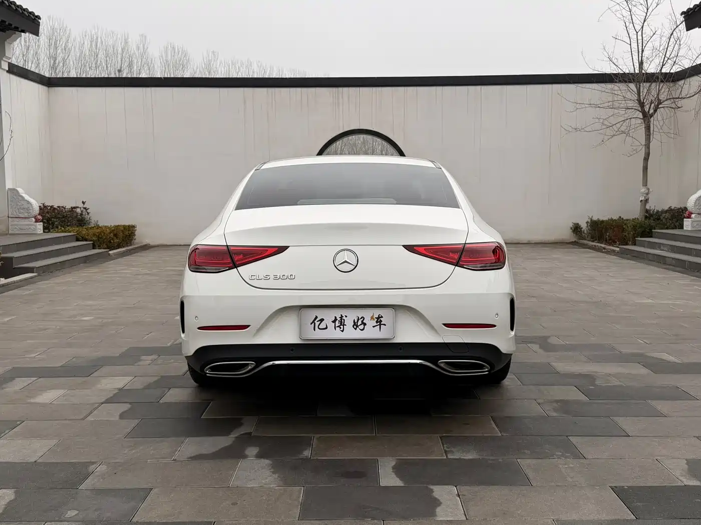 Mercedes-Benz CLS 2022 CLS 300 Dynamic фото 8