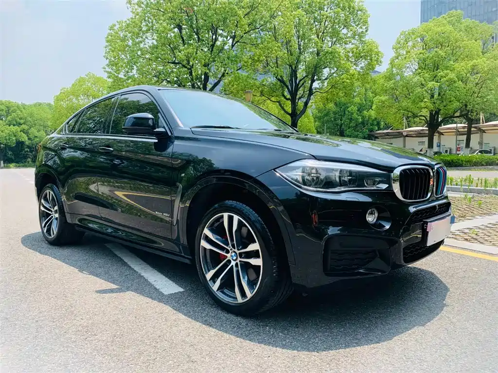 BMW X6 2018 xDrive35i M Sport Luxury Model фото 4