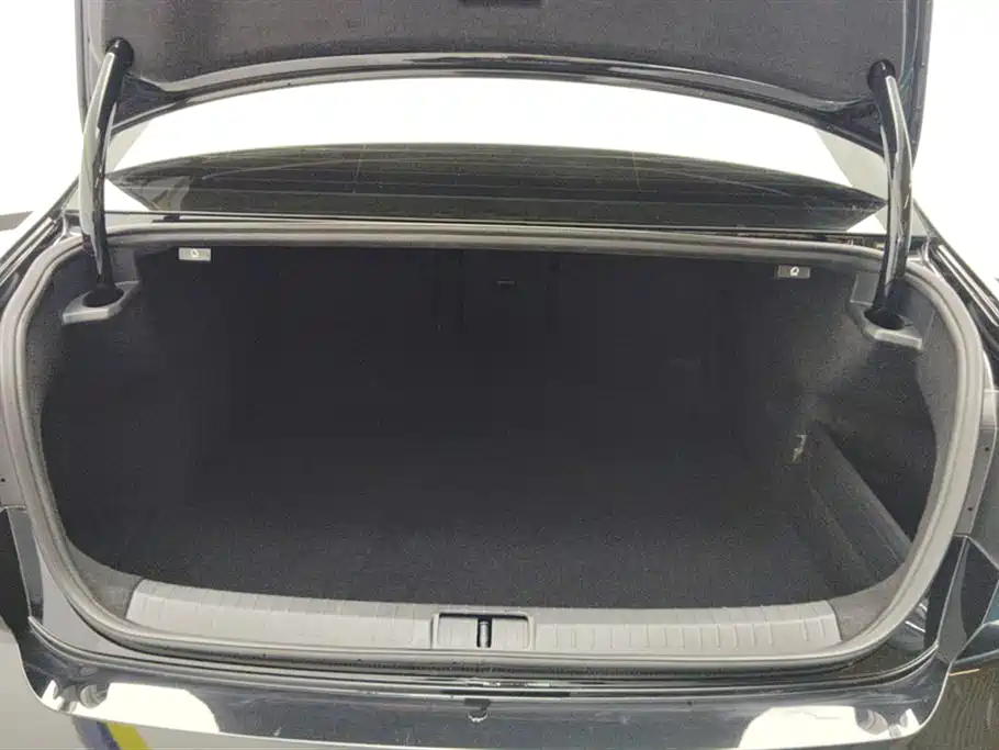 Volkswagen Magotan 2020 330TSI DSG Leading фото 4
