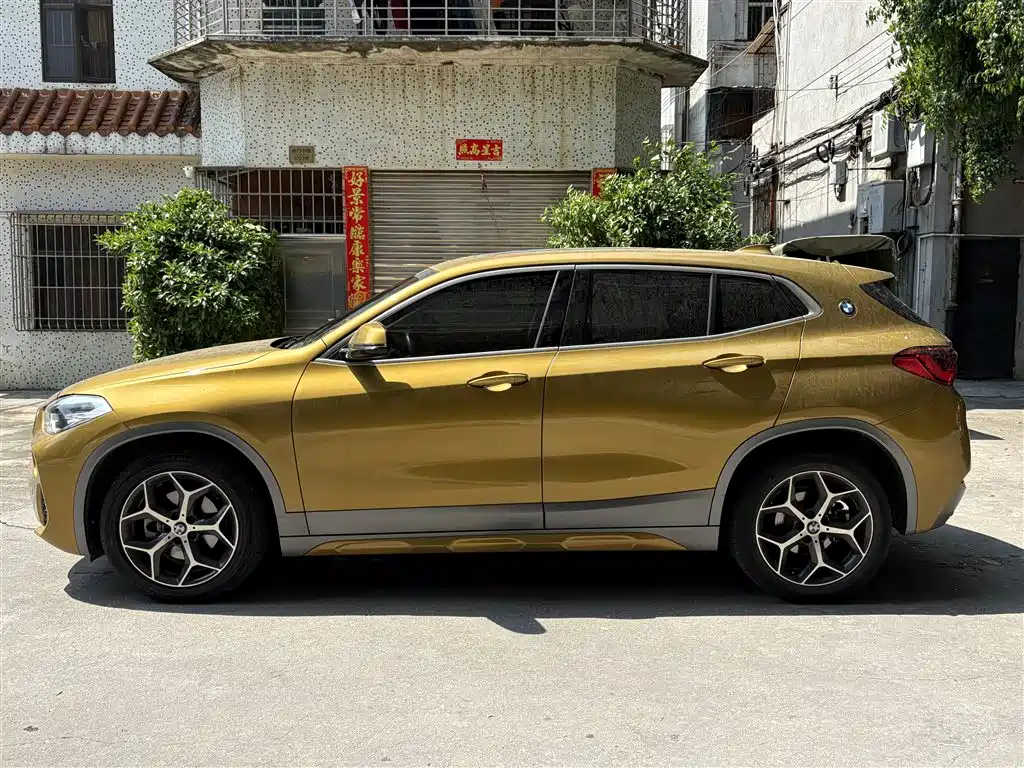 BMW X2 (Import) 2019 sDrive20i M Off-Road Package China VI фото 3