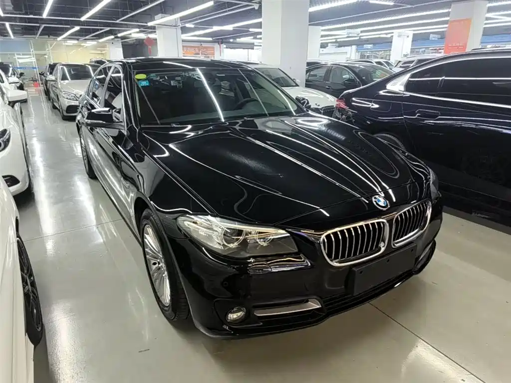 BMW 5 Series 2014 525Li Leading фото 4
