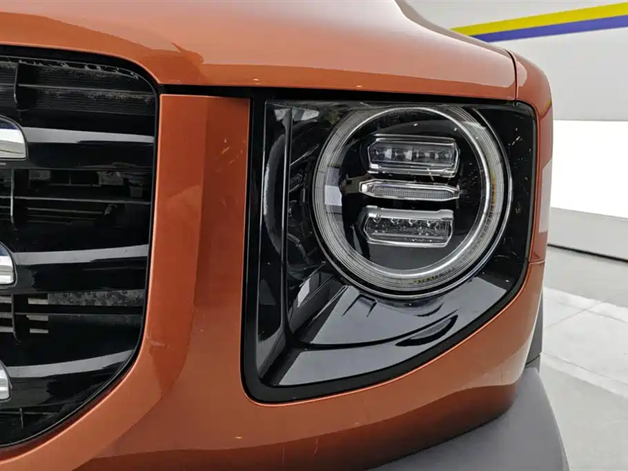 Haval Big Dog 2021 1.5T DCT 2WD Labrador Edition фото 5